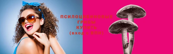 mix Новозыбков