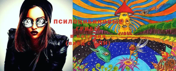 тгк Билибино