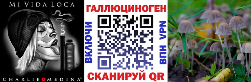 купить закладку  Эртиль  Галлюциногенные грибы MAGIC MUSHROOMS 